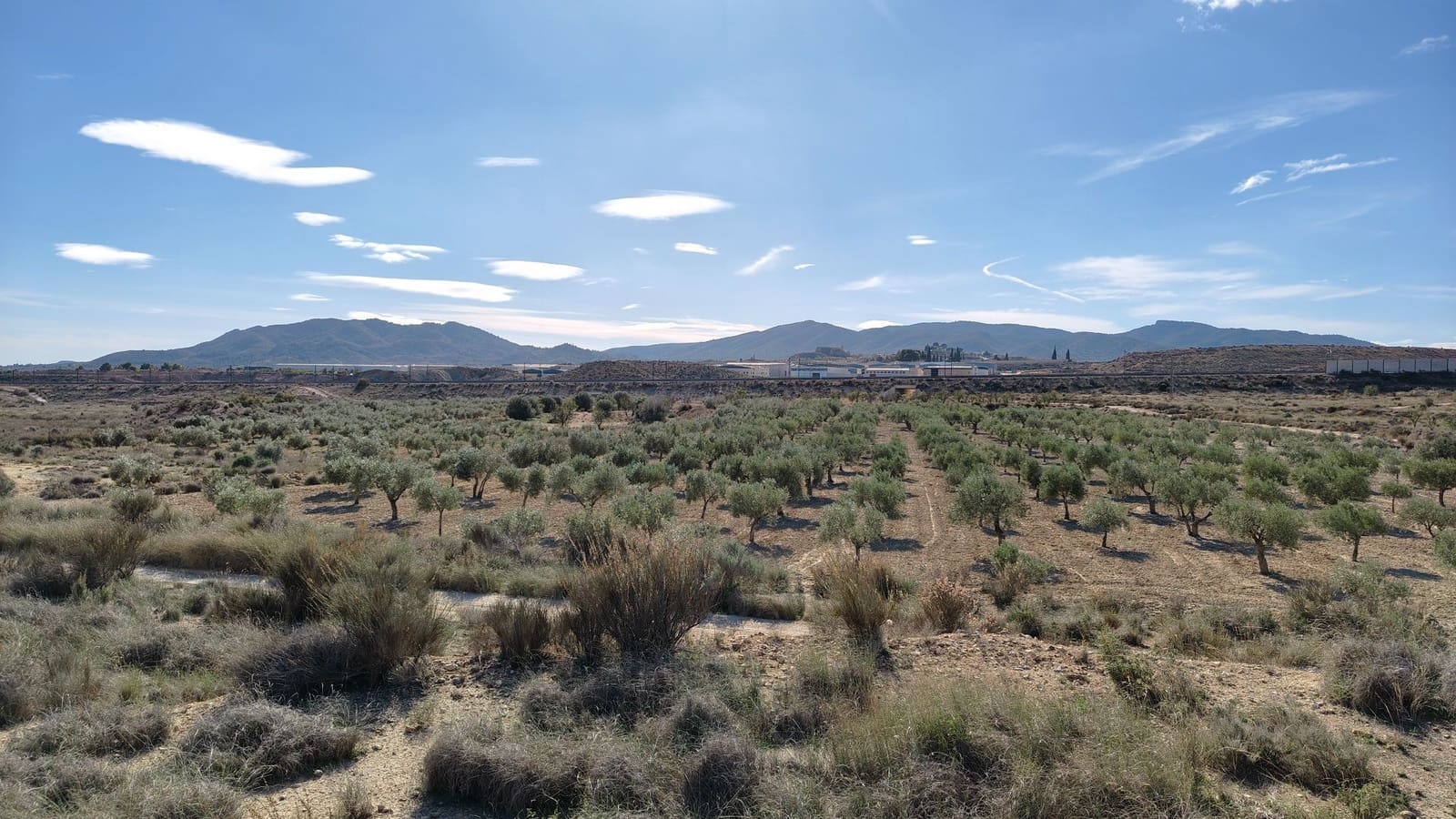 Finca/Hus på landet till salu i Elda - 127 600 € (Ref: 9398168)