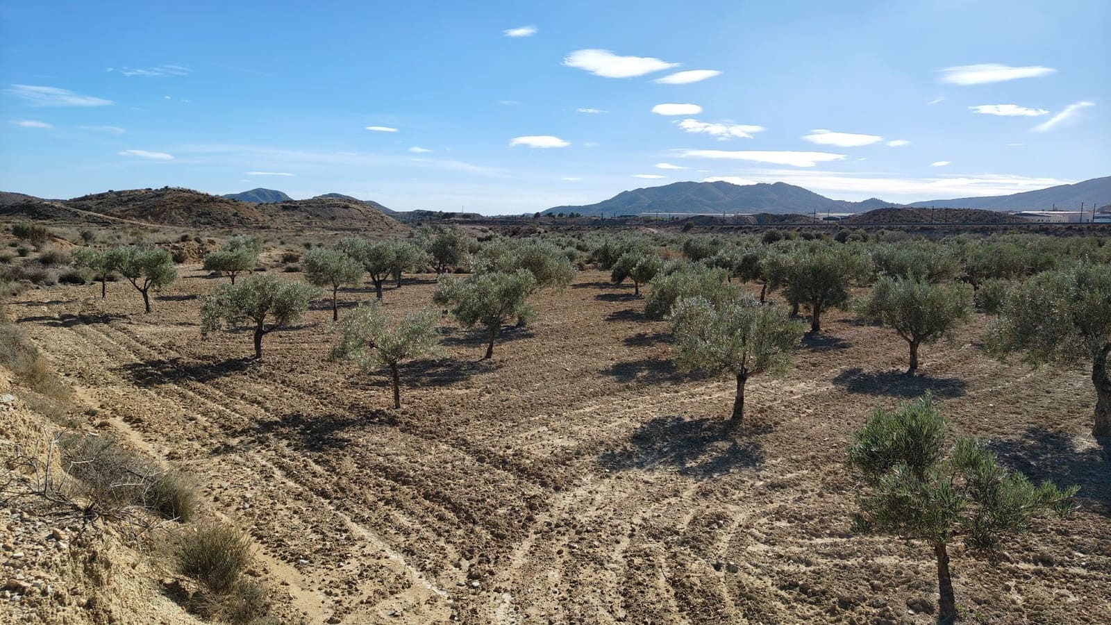 Finca/Hus på landet till salu i Elda - 127 600 € (Ref: 9398168)