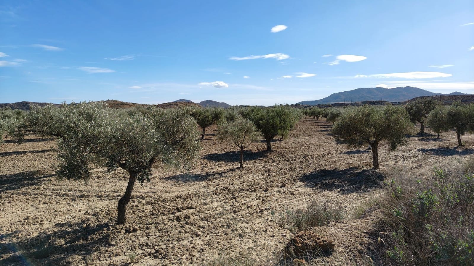 Finca/Hus på landet till salu i Elda - 127 600 € (Ref: 9398168)