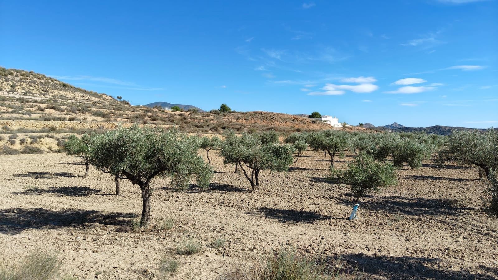 Finca/Hus på landet till salu i Elda - 127 600 € (Ref: 9398168)