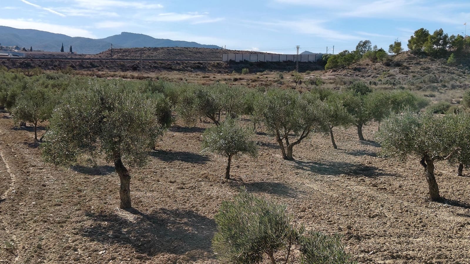 Finca/Hus på landet till salu i Elda - 127 600 € (Ref: 9398168)