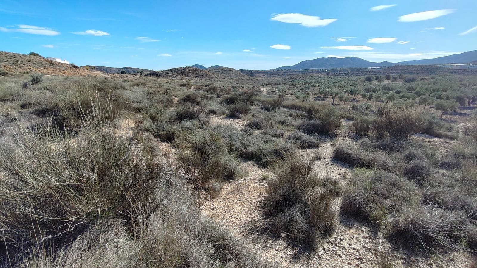 Finca/Hus på landet till salu i Elda - 127 600 € (Ref: 9398168)