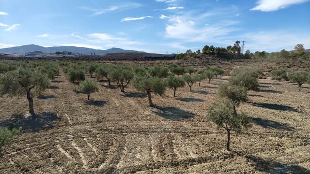 Finca/Landehus til salg i Elda - € 127.600 (Ref: 9398168)