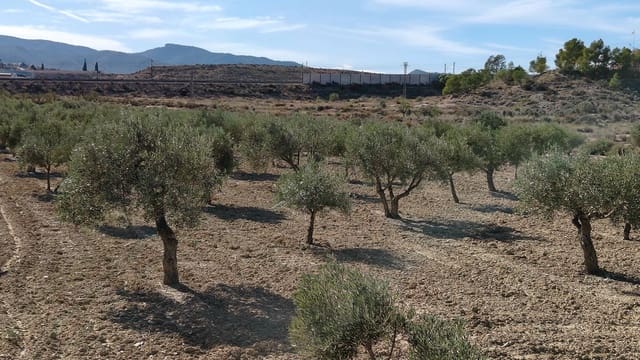 Finca/Landehus til salg i Elda - € 127.600 (Ref: 9398168)