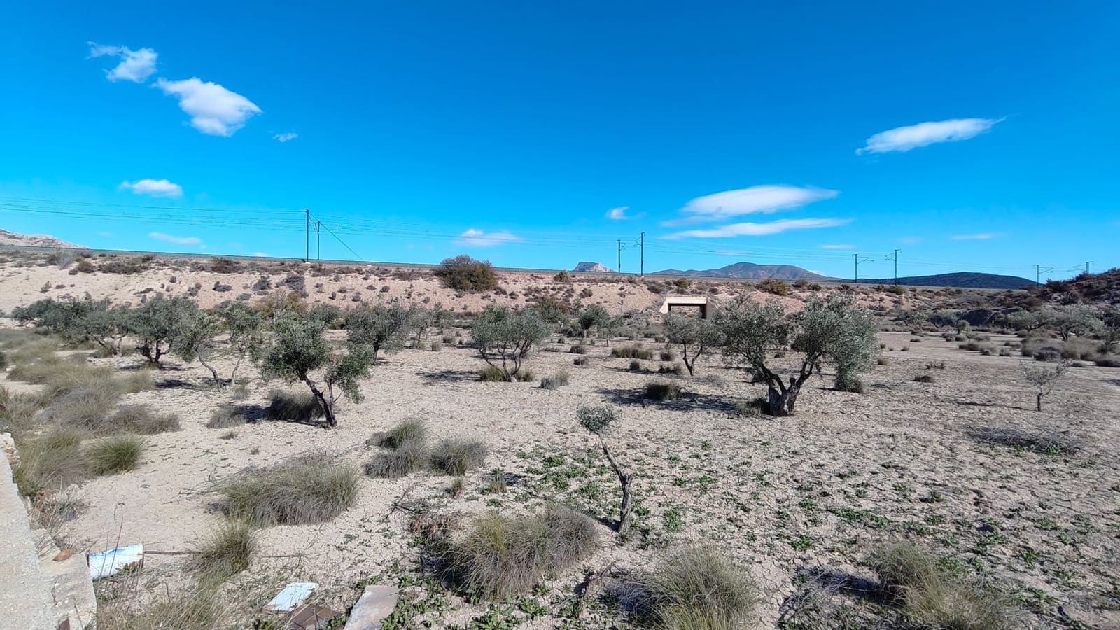 Finca/Landehus til salg i Elda - € 26.700 (Ref: 9398169)