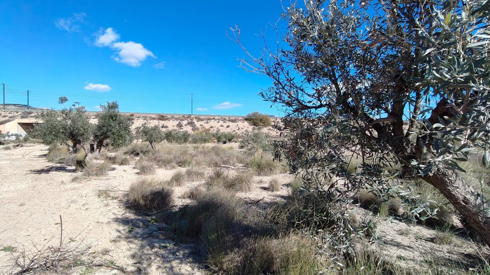 Finca/Landehus til salg i Elda - € 26.700 (Ref: 9398169)