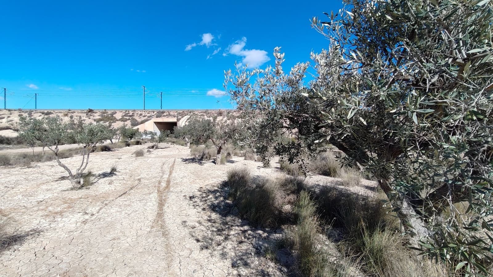 Finca/Landehus til salg i Elda - € 26.700 (Ref: 9398169)