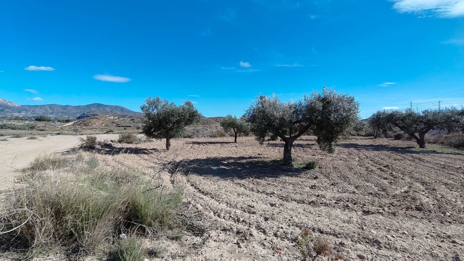 Finca/Landehus til salg i Elda - € 26.700 (Ref: 9398169)