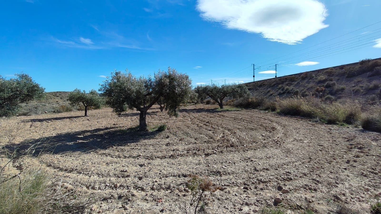 Finca/Landehus til salg i Elda - € 26.700 (Ref: 9398169)