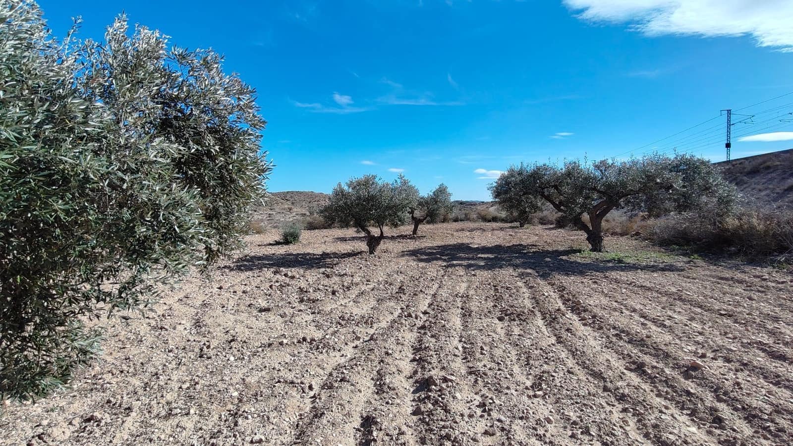 Finca/Landehus til salg i Elda - € 26.700 (Ref: 9398169)