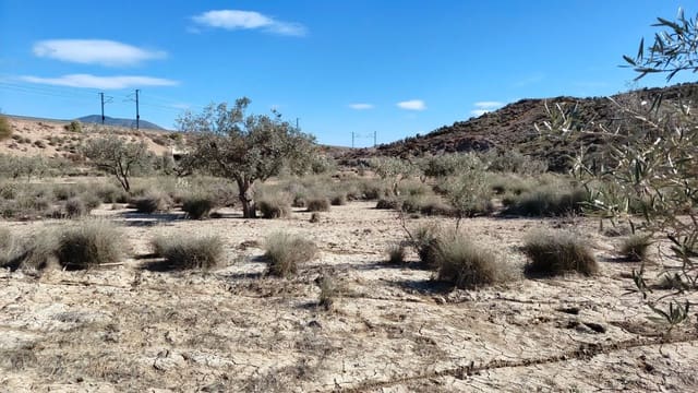 Finca/Landehus til salg i Elda - € 26.700 (Ref: 9398169)