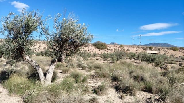 Finca/Landehus til salg i Elda - € 26.700 (Ref: 9398169)