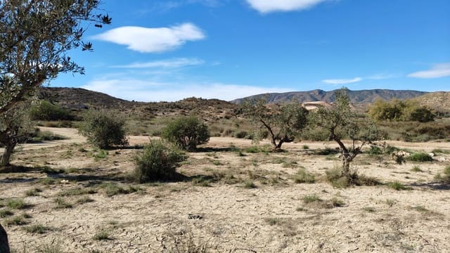 Finca/Landehus til salg i Elda - € 26.700 (Ref: 9398169)