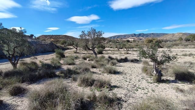 Finca/Landehus til salg i Elda - € 26.700 (Ref: 9398169)