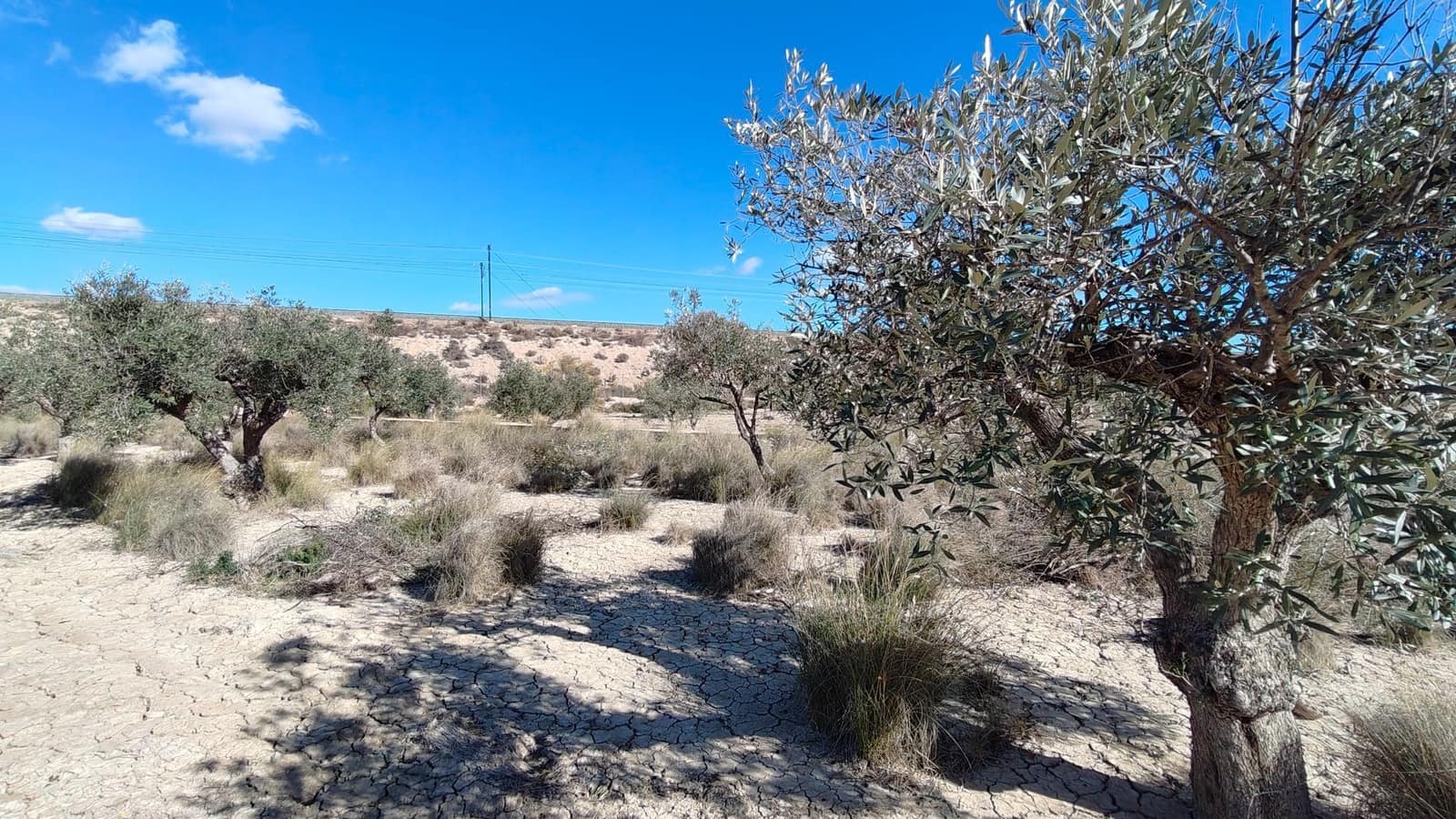 Finca/Landehus til salg i Elda - € 26.700 (Ref: 9398169)