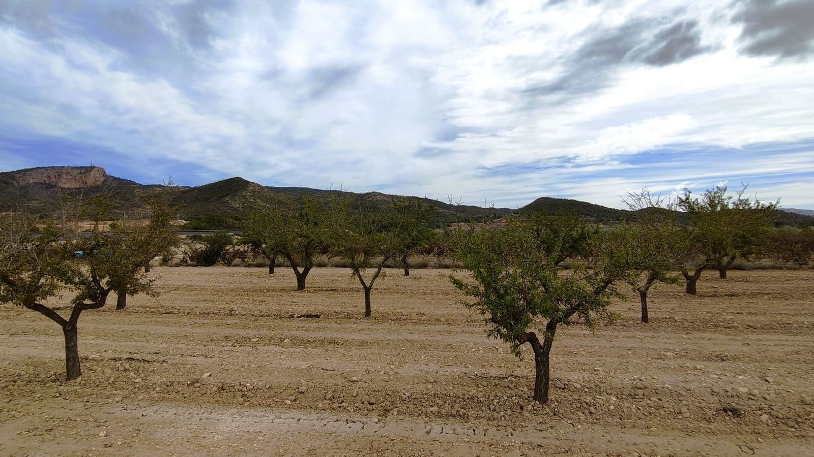 Finca/Landhuis te koop in Monovar / Monover - € 19.500 (Ref: 9410521)