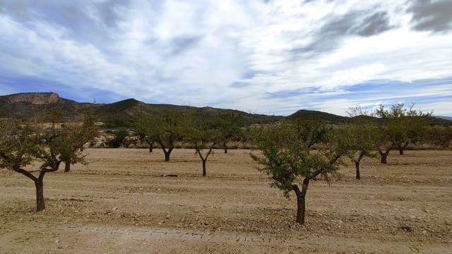 Finca/Casa di Campagna in vendita in Monóvar / Monóver - 19.500 € (Rif: 9410521)