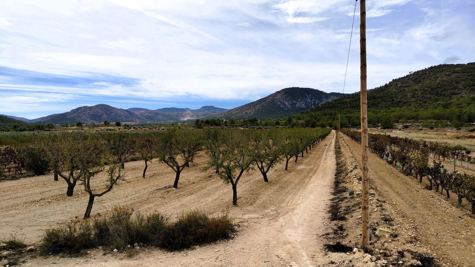 Finca/Landhuis te koop in Monovar / Monover - € 19.500 (Ref: 9410521)