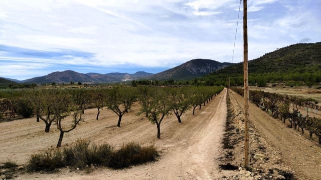 Finca/Casa di Campagna in vendita in Monóvar / Monóver - 19.500 € (Rif: 9410521)