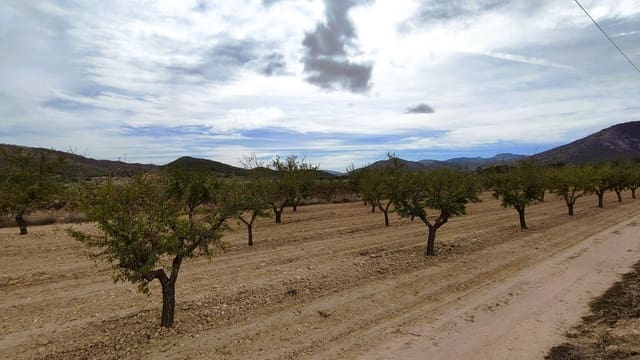 Finca/Casa di Campagna in vendita in Monóvar / Monóver - 19.500 € (Rif: 9410521)