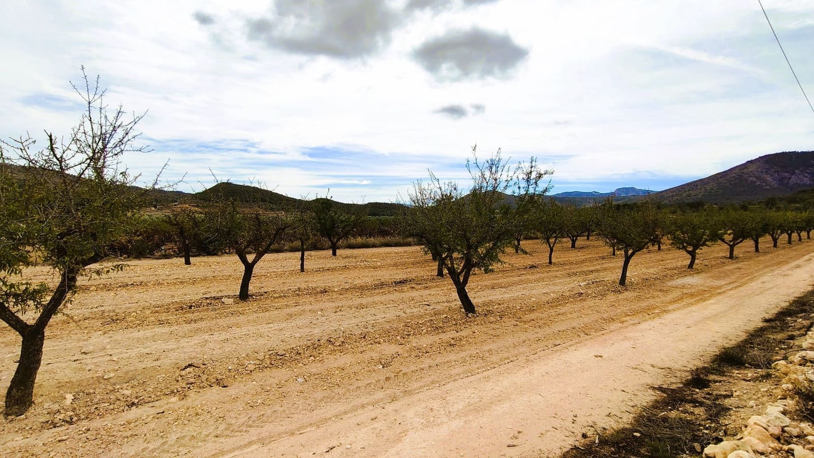 Finca/Landhuis te koop in Monovar / Monover - € 19.500 (Ref: 9410521)