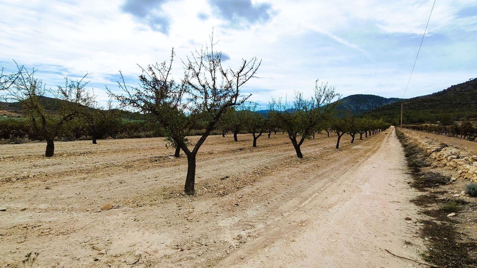 Finca/Landhuis te koop in Monovar / Monover - € 19.500 (Ref: 9410521)