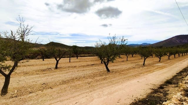 Finca/Casa di Campagna in vendita in Monóvar / Monóver - 19.500 € (Rif: 9410521)