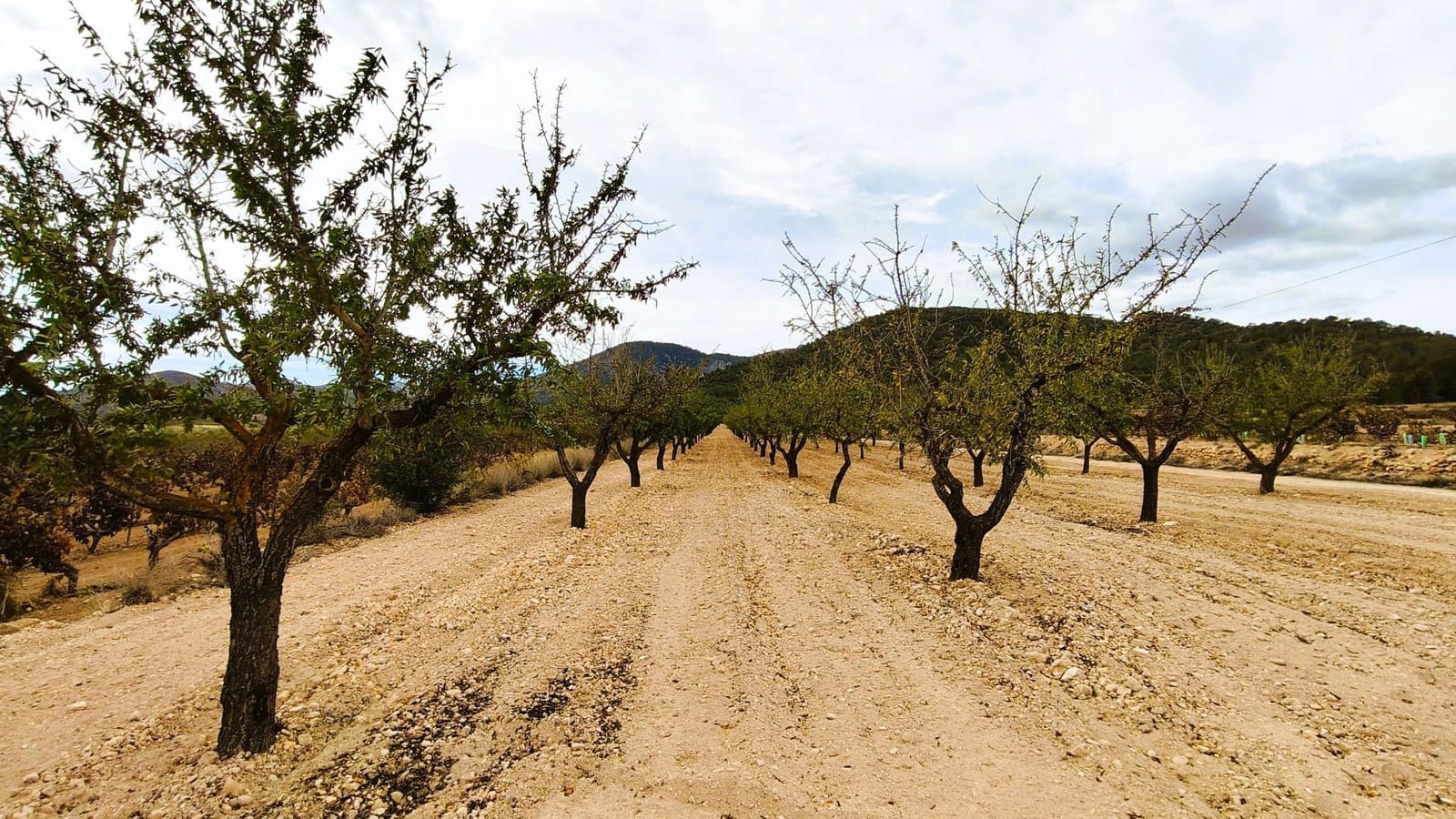 Finca/Landhuis te koop in Monovar / Monover - € 19.500 (Ref: 9410521)