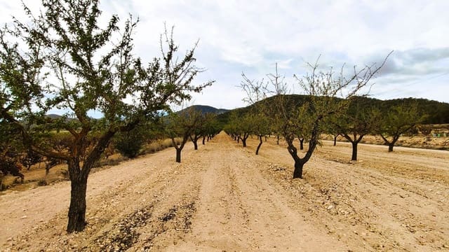 Finca/Casa di Campagna in vendita in Monóvar / Monóver - 19.500 € (Rif: 9410521)