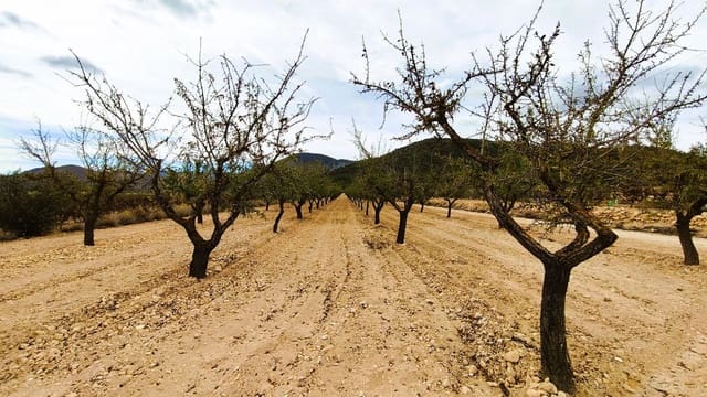 Finca/Casa di Campagna in vendita in Monóvar / Monóver - 19.500 € (Rif: 9410521)