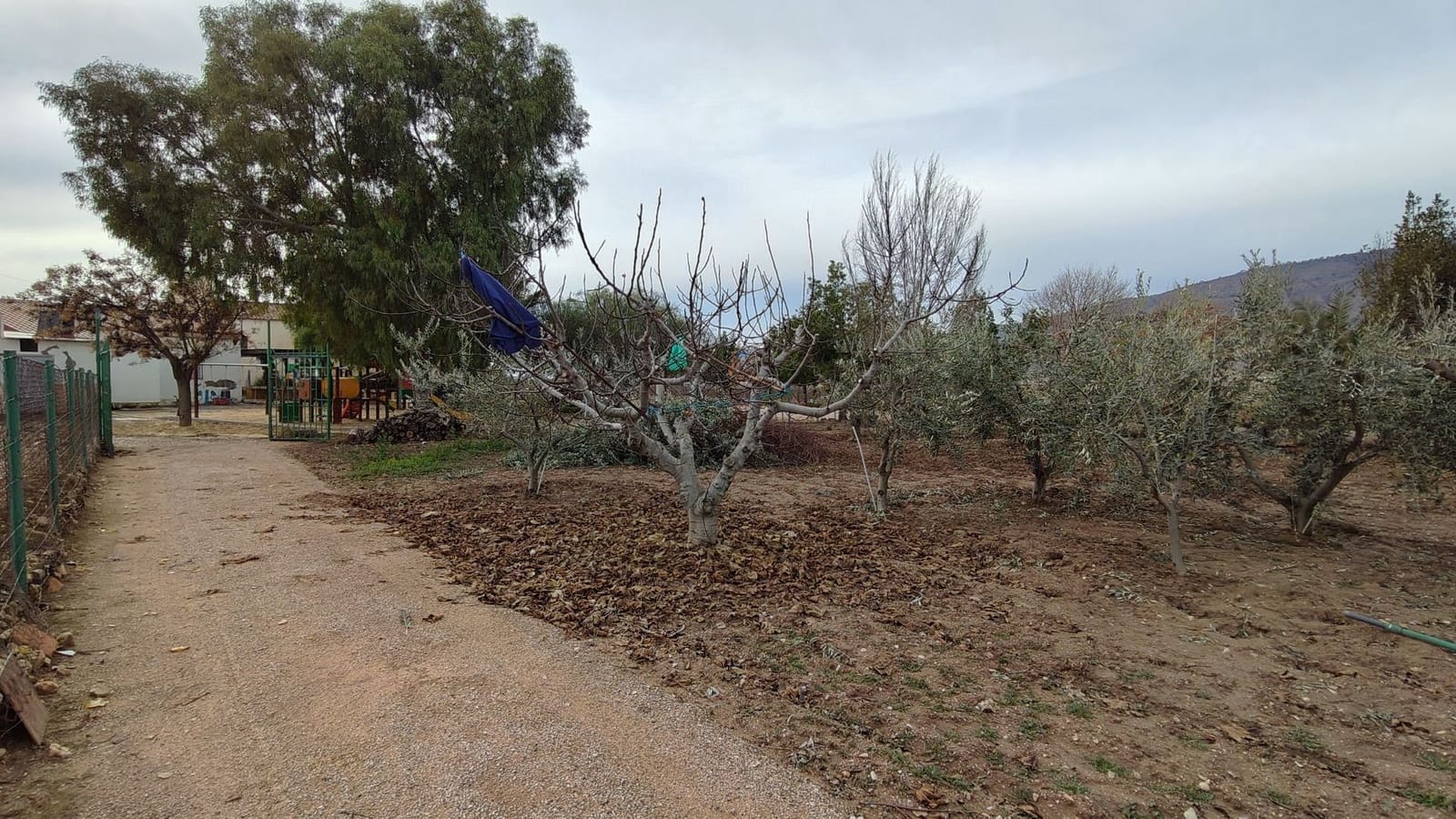 3 slaapkamer Villa te koop in Jumilla - € 150.000 (Ref: 9473768)