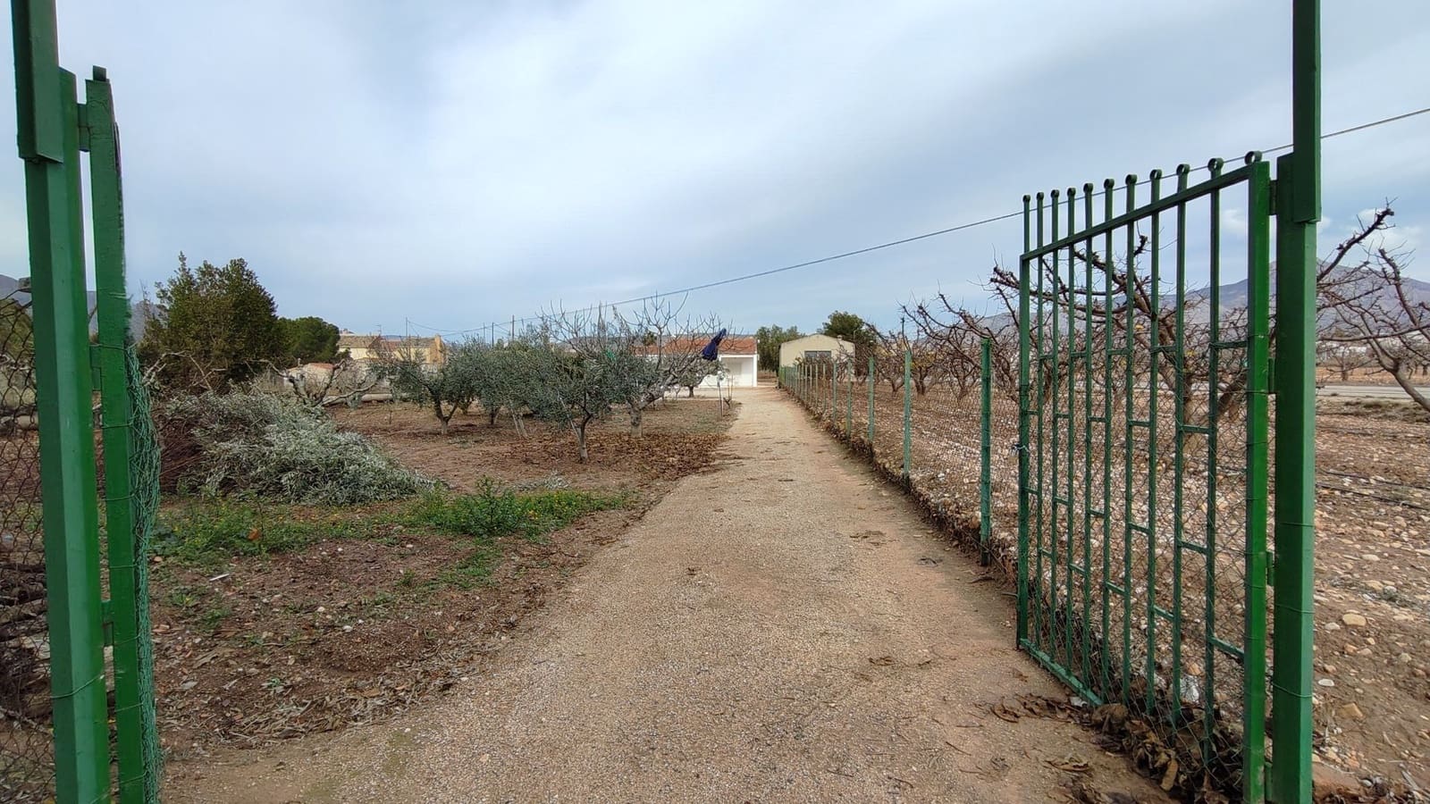 3 slaapkamer Villa te koop in Jumilla - € 150.000 (Ref: 9473768)