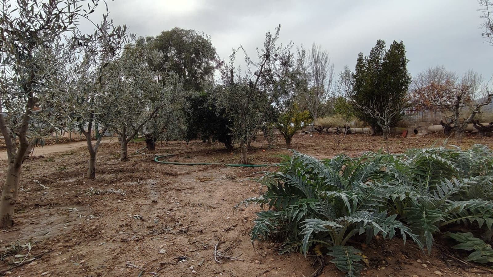 3 slaapkamer Villa te koop in Jumilla - € 150.000 (Ref: 9473768)