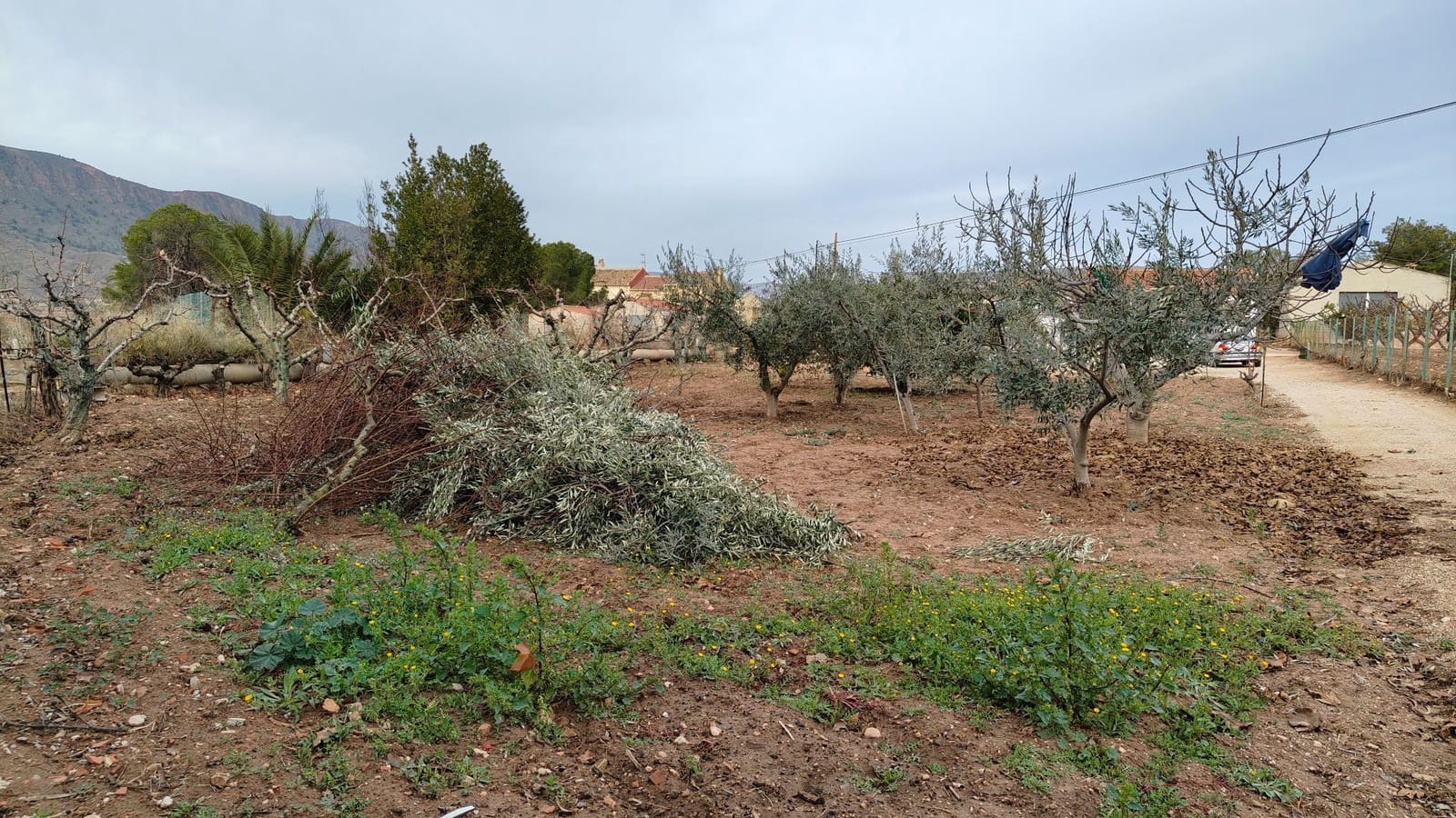 3 slaapkamer Villa te koop in Jumilla - € 150.000 (Ref: 9473768)