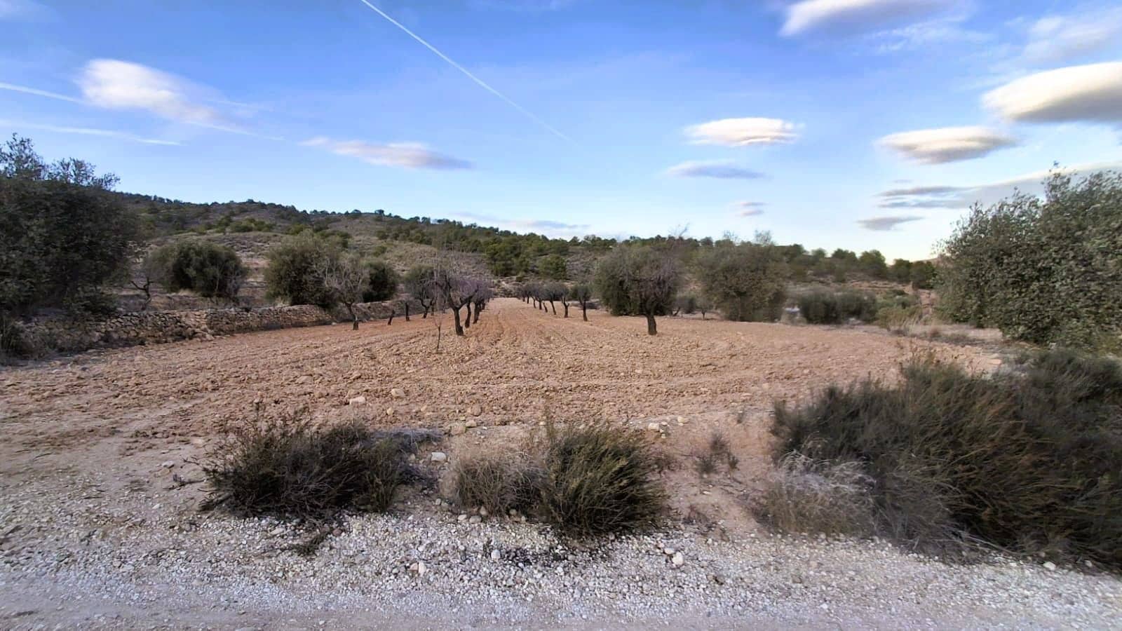 Quinta/Casa Rural para venda em Raspay - 8 500 € (Ref: 9526083)