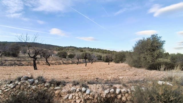 Quinta/Casa Rural para venda em Raspay, Yecla - 8 500 € (Ref: 9526083)