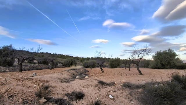 Quinta/Casa Rural para venda em Raspay, Yecla - 8 500 € (Ref: 9526083)