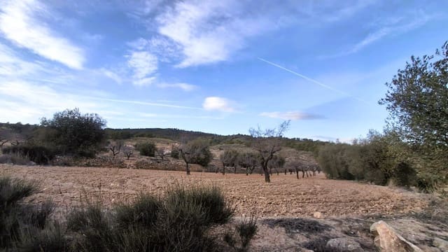 Quinta/Casa Rural para venda em Raspay, Yecla - 8 500 € (Ref: 9526083)