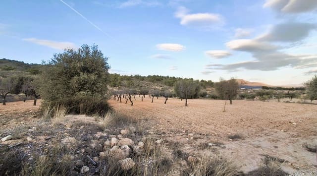 Quinta/Casa Rural para venda em Raspay, Yecla - 8 500 € (Ref: 9526083)