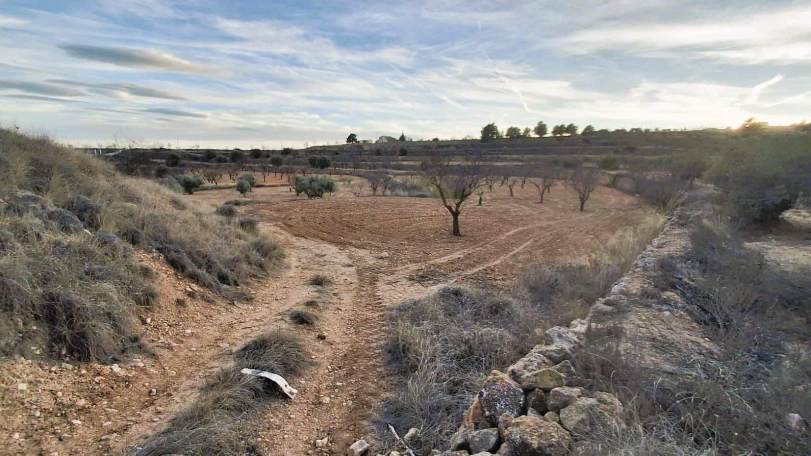 Quinta/Casa Rural para venda em Raspay - 6 900 € (Ref: 9526084)