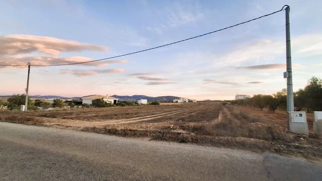 Finca/Maison de Campagne à vendre à Pinoso - 67 500 € (Ref: 9529410)