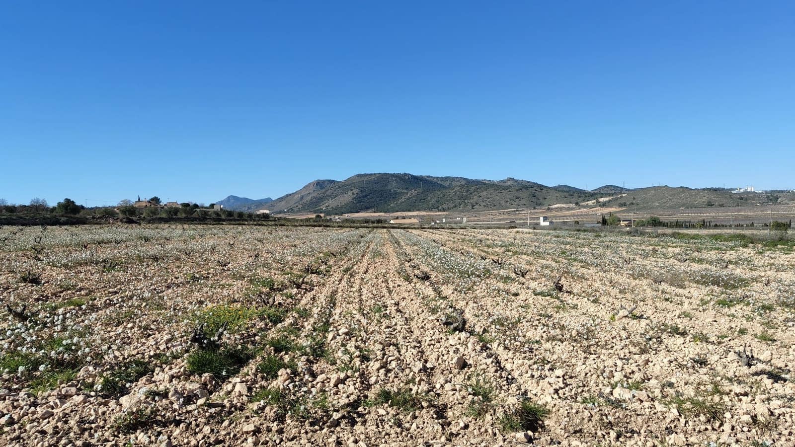 Finca/Country House for sale in Canada de la Lena - € 49,900 (Ref: 9594618)