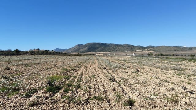 Finca/Casa di Campagna in vendita in Cañada de la Lena, Abanilla - 49.900 € (Rif: 9594618)