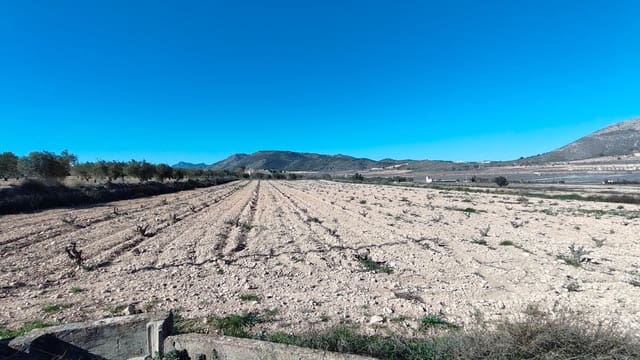 Finca/Casa di Campagna in vendita in Cañada de la Lena, Abanilla - 49.900 € (Rif: 9594618)