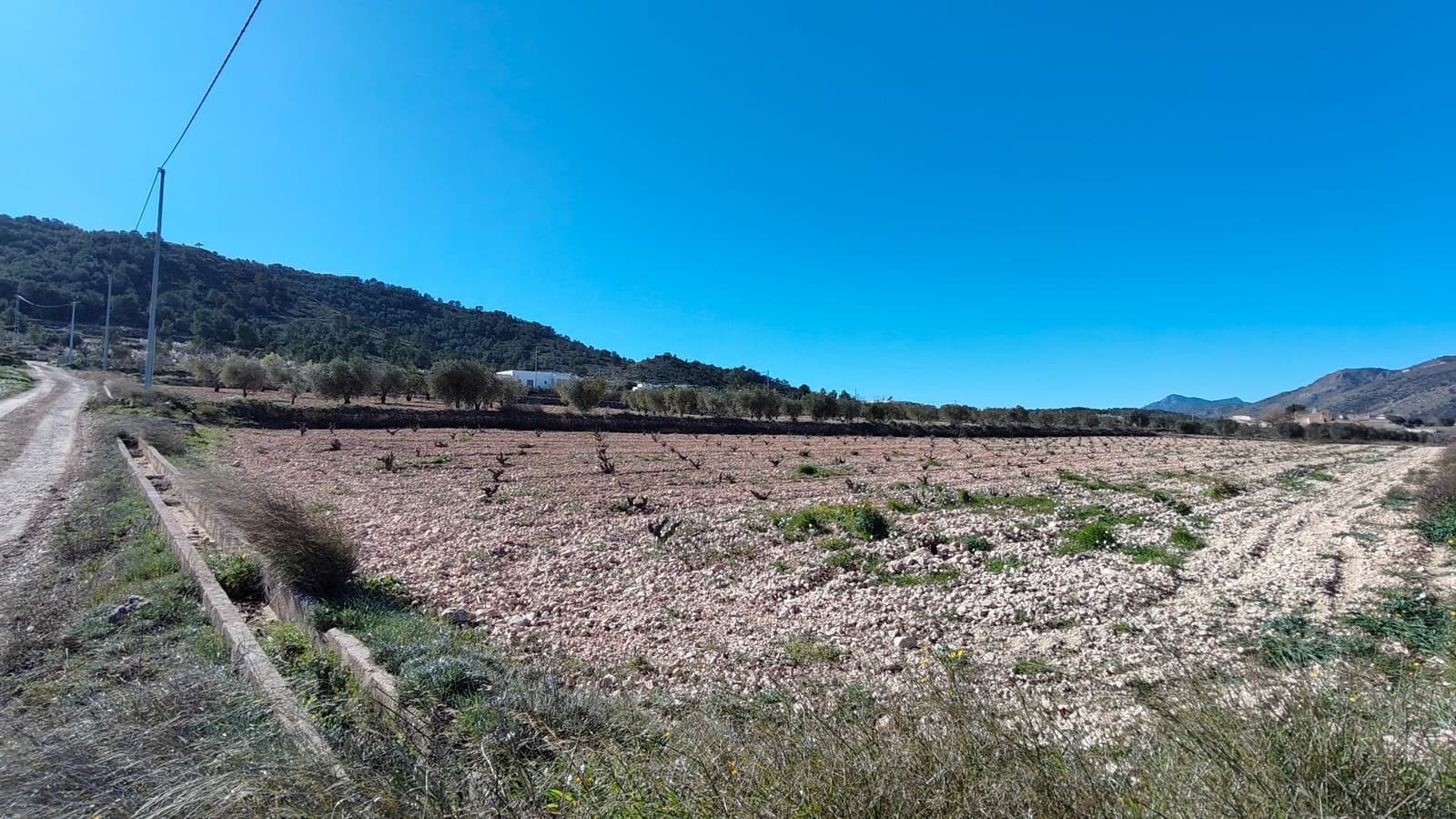 Finca/Country House for sale in Canada de la Lena - € 49,900 (Ref: 9594618)