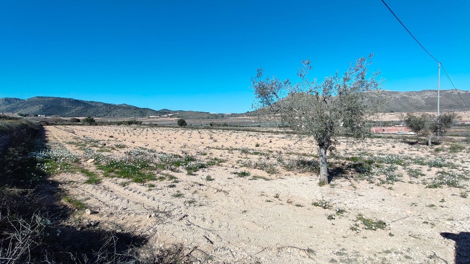 Finca/Country House for sale in Canada de la Lena - € 49,900 (Ref: 9594618)