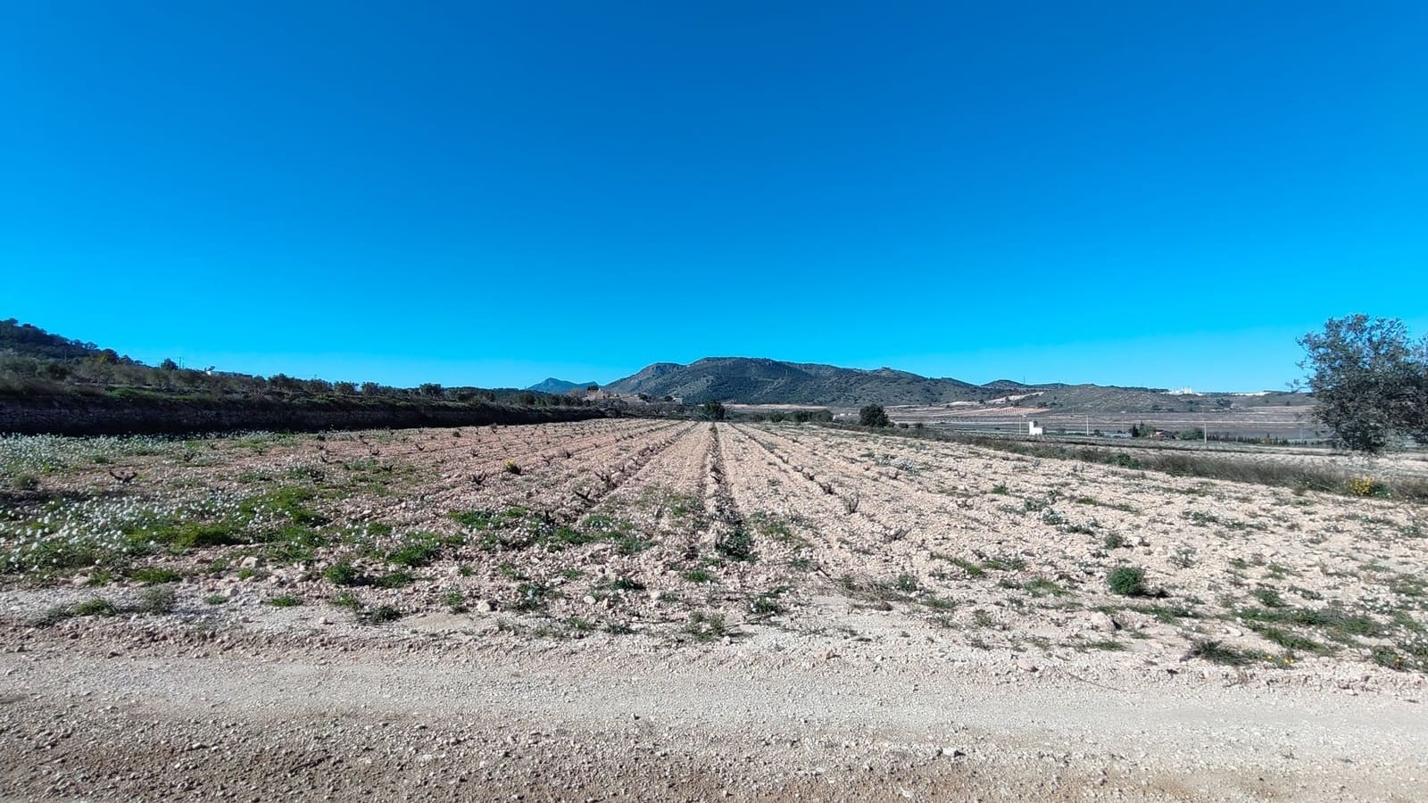 Finca/Country House for sale in Canada de la Lena - € 49,900 (Ref: 9594618)