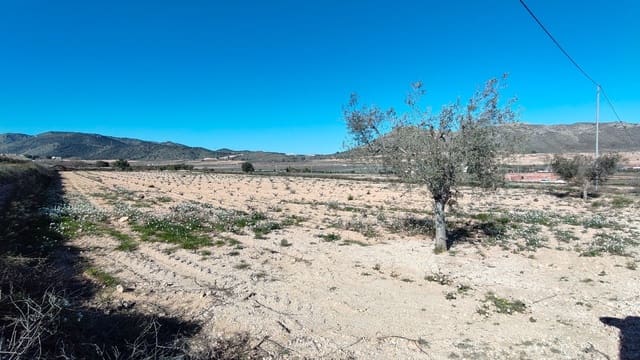 Finca/Casa di Campagna in vendita in Cañada de la Lena, Abanilla - 49.900 € (Rif: 9594618)