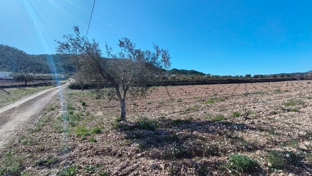Finca/Casa di Campagna in vendita in Cañada de la Lena, Abanilla - 49.900 € (Rif: 9594618)