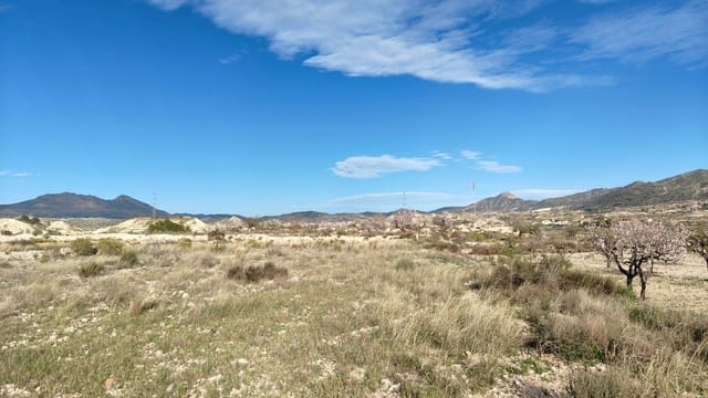 Finca/Maison de Campagne à vendre à Abanilla - 19 900 € (Ref: 9598651)